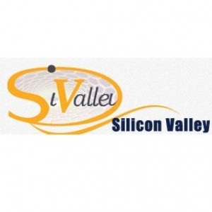 Silicon Valley for Nanotechnology