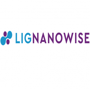 LIG Nanowise Ltd