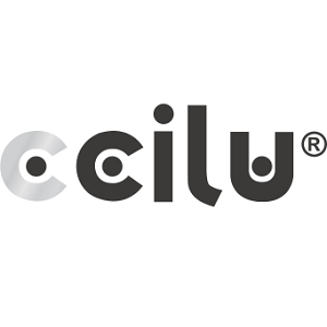 CCILU INTERNATIONAL INC