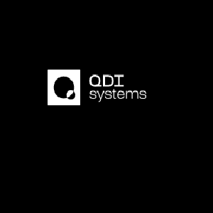 QDI systems