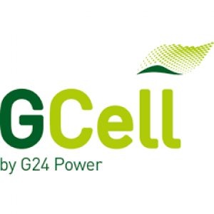 G24 Power Ltd