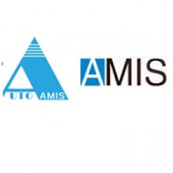 AMIS Company