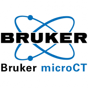 Bruker microCT