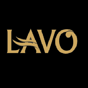 LAVO Corporation