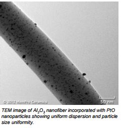 Nanofibers Functionalized with Platinum Catalysts
