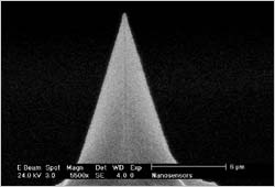 Diamond Coated Tip - Non-Contact/Tapping Mode - High Resonance Frequency - Reflex Coating