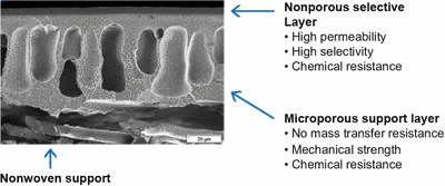 Membranes for organophilic nanofiltration