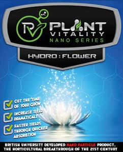 Hydro: flower