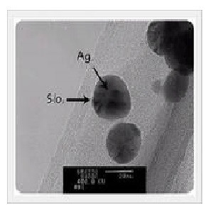 Ag Nano Powder (PUREPOW-AGP-200)