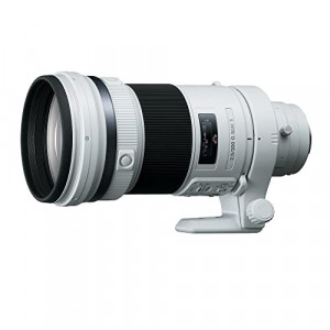 Sony - 300 mm F2.8 G SSM II