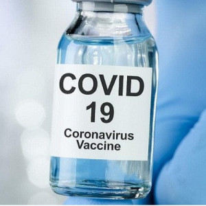 Coronavirus Vaccine Candidate