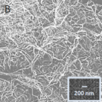 Multi-Wall Carbon Nanotubes Purified