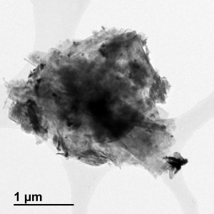 Graphene – Zinc Oxide nanoparticles