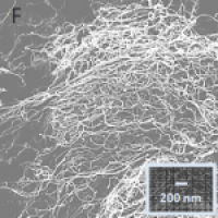 Multi-Wall Carbon Nanotubes as-produced