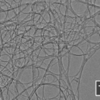 Single Wall Carbon Nanotubes