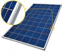 Sunmodule Plus SW 260 poly (5BB)