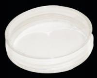 Nanofiber cell culture dish, with random oriented nanofibers