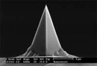 SuperSharpSilicon™ - High Quality-Factor - Magnetic Force Microscopy - Reflex Coating