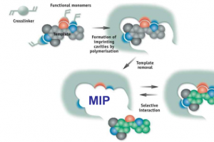 Molecularly Imprinted Polymer (MIP)