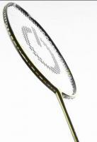 Strength Pro SP160 Badminton Training Racket