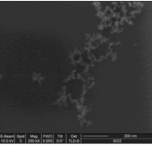 Silicon Oxide Nanoparticles