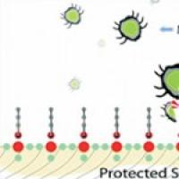 Antimicrobial nano coating (PosiShield)