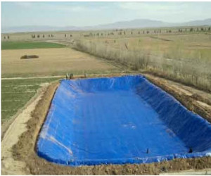 Geomembrane