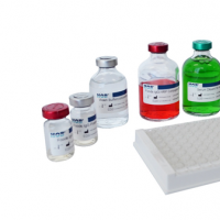 Food Intolerance Screening Test