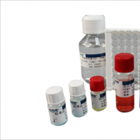 Enzyme Linked Immunosorbent Assay
