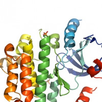 anticancer drug