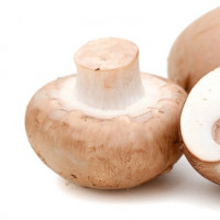Mushroom