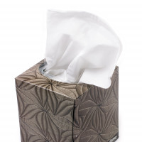 Box Kleenex