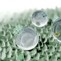 Anti-bacterial Fabric