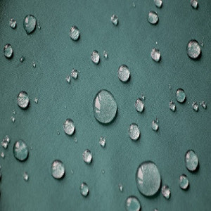 Hydrophobic paint